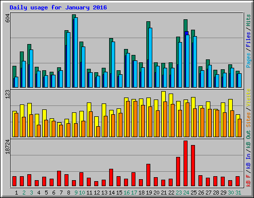 Daily usage for January 2016