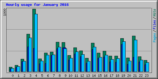 Hourly usage for January 2016