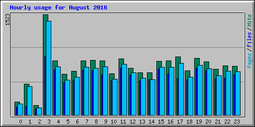Hourly usage for August 2016